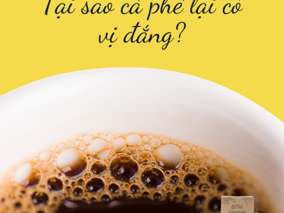 Tại sao Cà phê lại có vị đắng ?