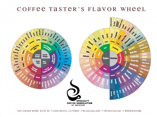 SPECIALTY COFFEE LÀ GÌ?