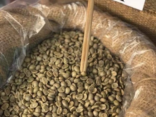 Tại sao cà phê có vị chua?