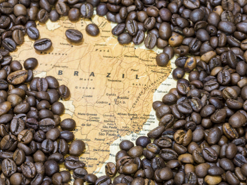 BRAZIL MUỐN TRỞ THÀNH “THỦ PHỦ” MỚI CỦA CÀ PHÊ ROBUSTA