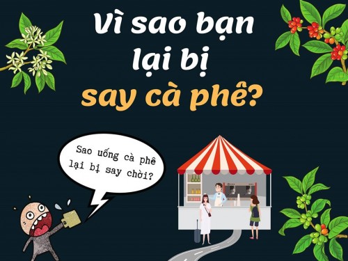 Tại sao bạn bị say CÀ PHÊ ?