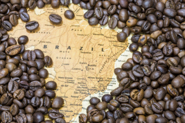 BRAZIL MUỐN TRỞ THÀNH “THỦ PHỦ” MỚI CỦA CÀ PHÊ ROBUSTA