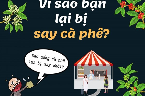 Tại sao bạn bị say CÀ PHÊ ?
