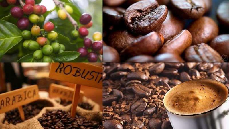 5 bước đơn giản để bắt đầu kinh doanh cà phê