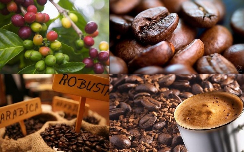 5 bước đơn giản để bắt đầu kinh doanh cà phê