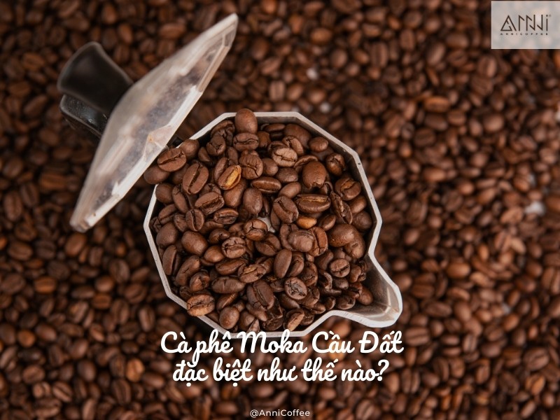 Cà phê Moka cầu đất đặc biệt như thế nào?